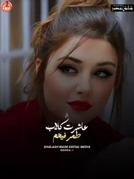 #CapCut #الشعب_الصيني_ماله_حل😂😂 #اكسبلورexplore #مجرد_ذووقツ🖤🎼 #مليون_مشاهدة❤ #قله_الاصل_والناس_الواطيه #العيش_والملح #حالات_واتس 