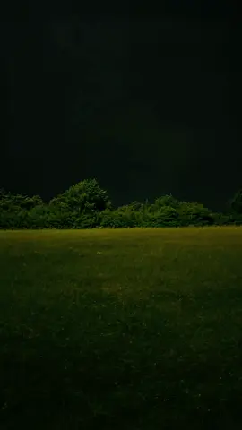 #fyp #xyzbca #grass #wind #tree 