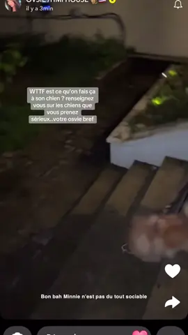 #fyp #100k #pourtoi #hmi #viral_video #buisness #rediffusionlive #ovsie #fypシ゚viral 