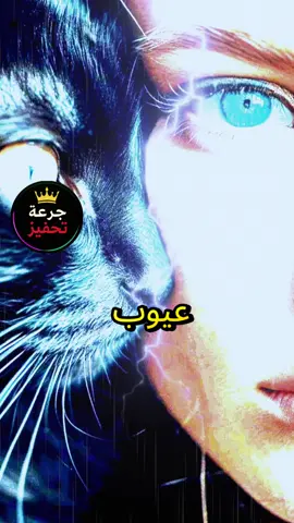 عيوب الجسم يسترها متر من القماش لطن عيوب الفكر يفضحها اول نقاش  #اقتباسات #مقولات #اقوال_وحكم_الحياة 