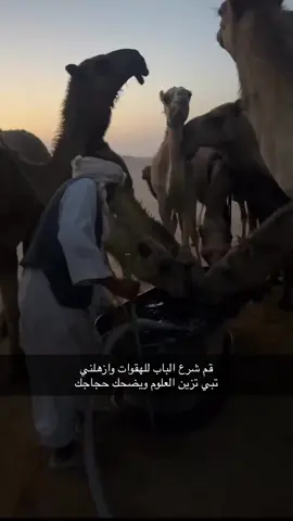 #هواجيس #اكسبلورexplore 