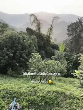 จริง😂🤣🤣#เธรด #สตอรี่ 