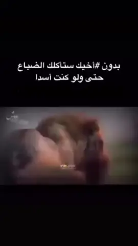 #بزبط💯✔ 