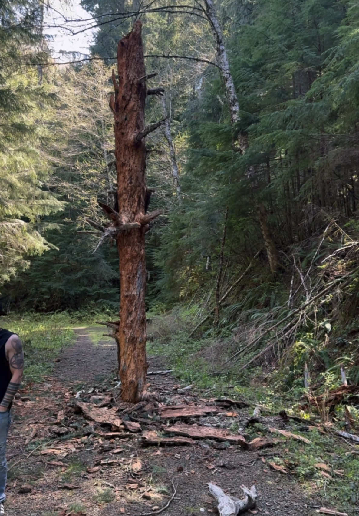 My husband @adam.jenkins82 and I doing our usual forest adventuring and we came across this! #oregon #forest #getoutside #explore #mothernature #strange #random #odd #zen #bigfoot #unknown 