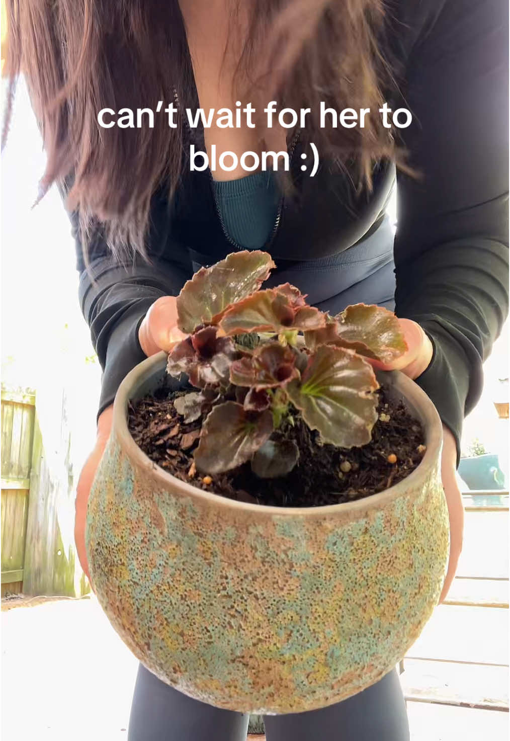 What’s your favorite flower? #spring #flowers #begonia 