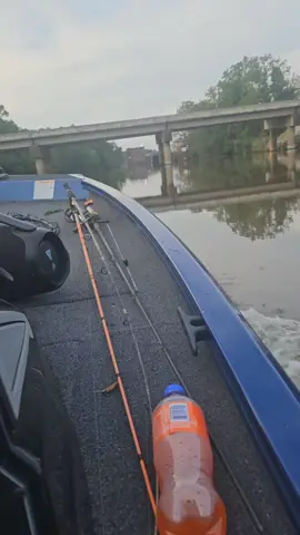 Point A fishing lake catching them slabs bass##fishinglife#