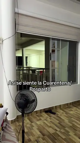 El encierro me está volviendo loca  #tik_tok #paratii #cuarentena #posparto #bebe 