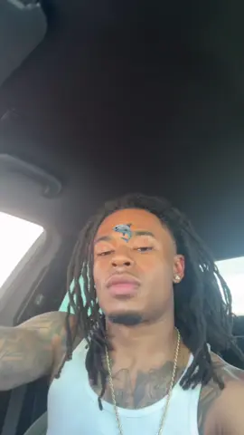 🦈 