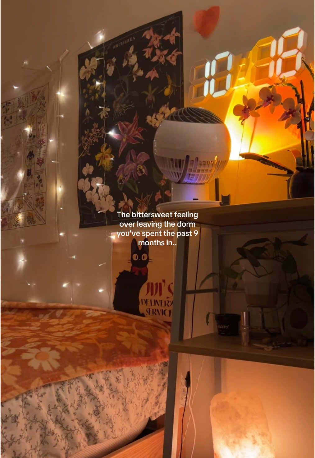 I do not feel like packing this all up oh mannn #college #collegelife #dorm #SelfCare #productivity #dormlife #spring #student 