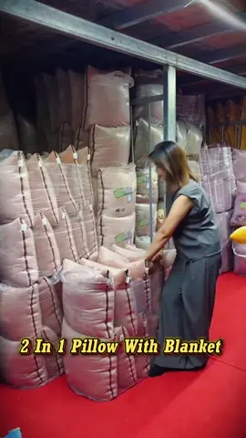 #foryou #pillowwithblanket #highquality #fyp #2in1pillowblanket 
