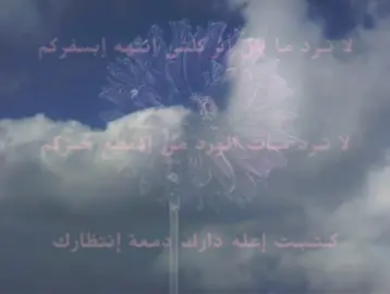 #باسم_الكربلائي #لاترد_مات_الورد #viral #fyp 