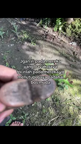 #sawitontiktok #sawitkalimantan #sawitindonesia #petanimuda #foryou #masukberanda #fyppppppppppppppppppppppp 