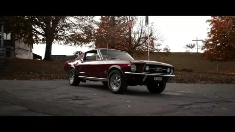 Ford Mustang 1967 #fyp #ctedmmusic #hmusicus #supercar 