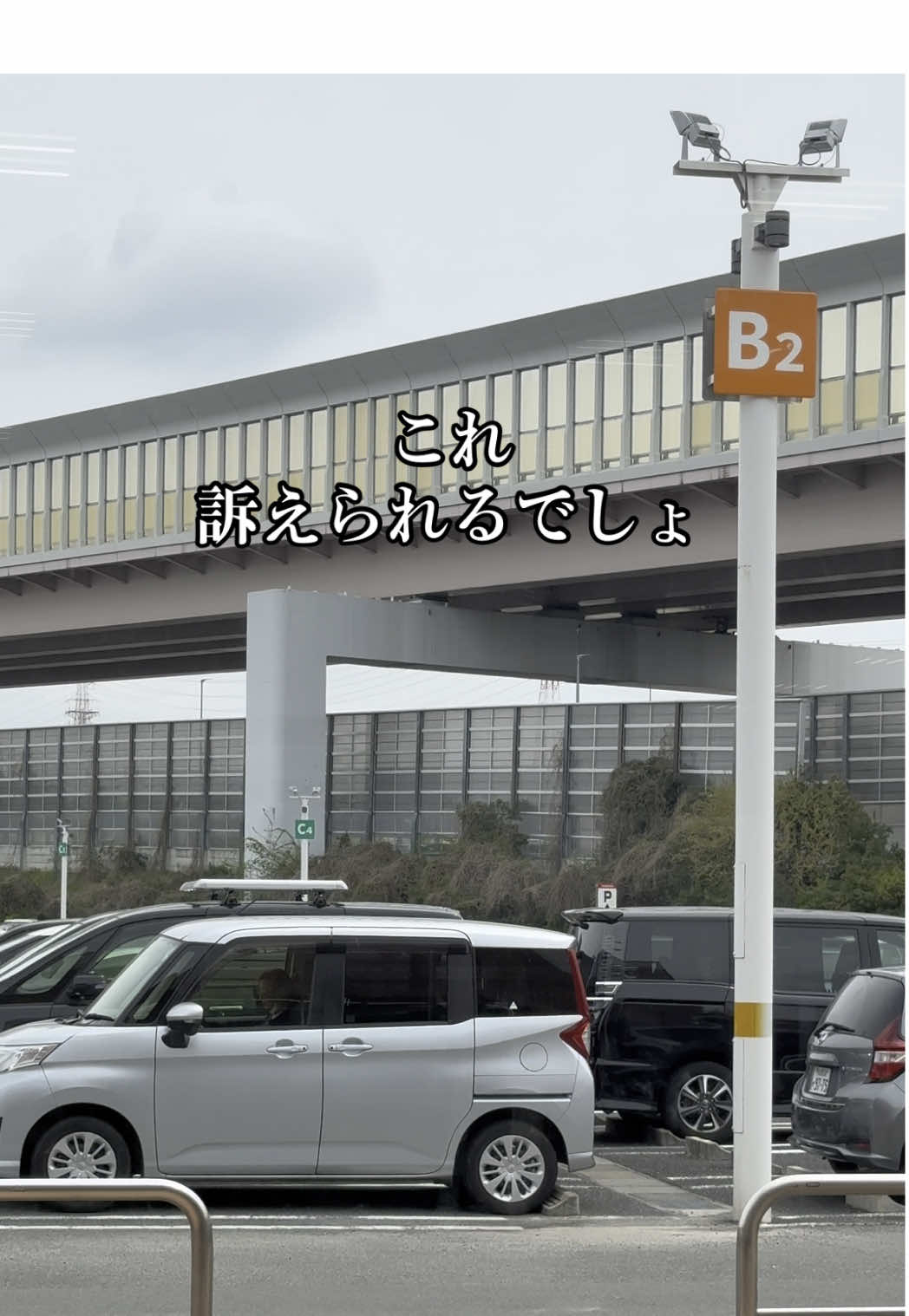 もうなんでもありじゃん
