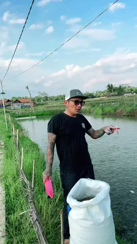Apa apa di ingu😃🔥