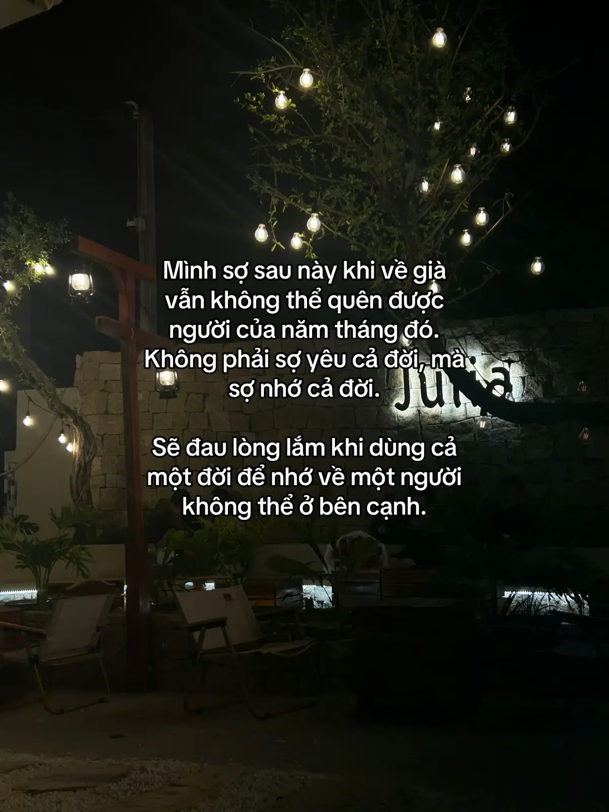 Tôi trồng một khu vườn kín đáo trong tim. Hoa không nở, chỉ có rể đâm sâu ..