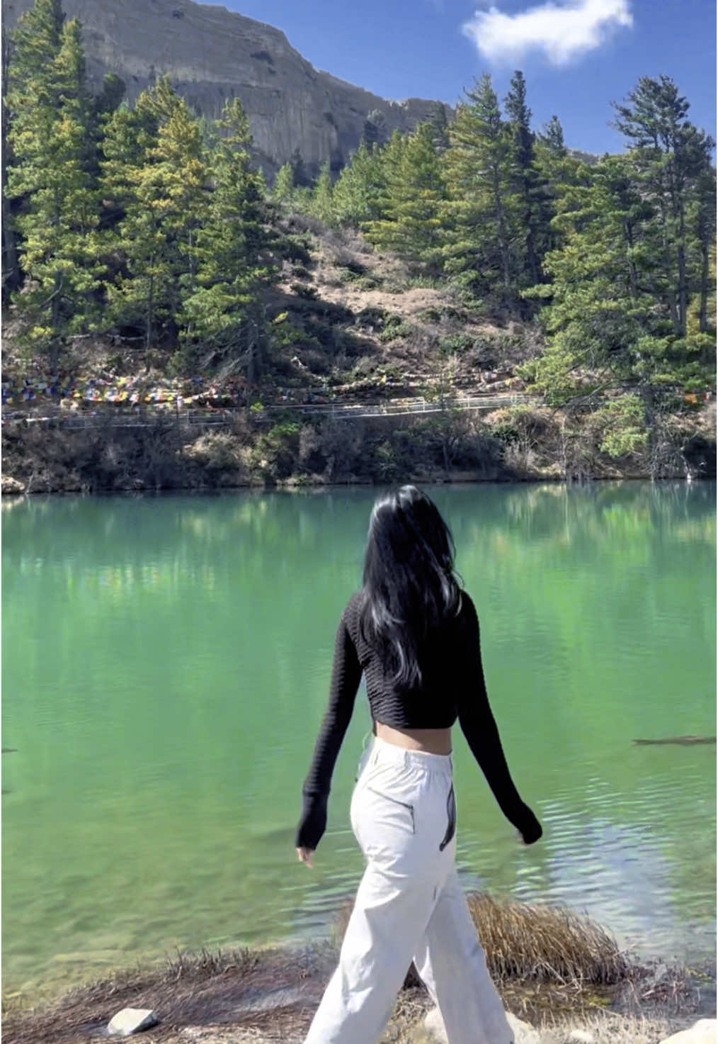 A slow walk beside this lake was all the therapy I needed. #tiktok #fyp #greenenergy#lake #MindfulLiving 🍀✨🇳🇵