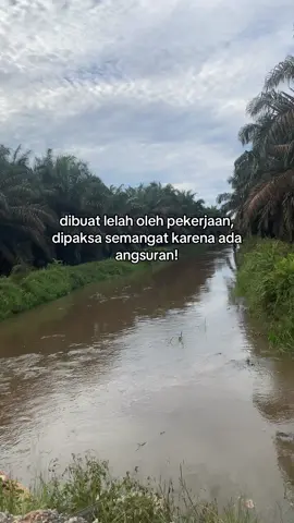 Judulnya Angsuran penyemangat😁#sawitkalimantan🌴🌴🇮🇩 #fyppppppppppppppppppppppp #krani #kulisawit 