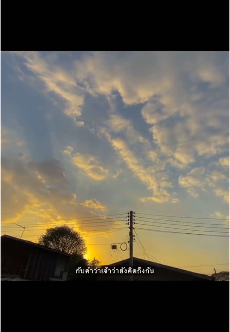 🫂 #เธรด #รับโปรโมทเพลง #เธรดเพลง #เพลง #ยืมลงสตอรี่ได้ #fyp 