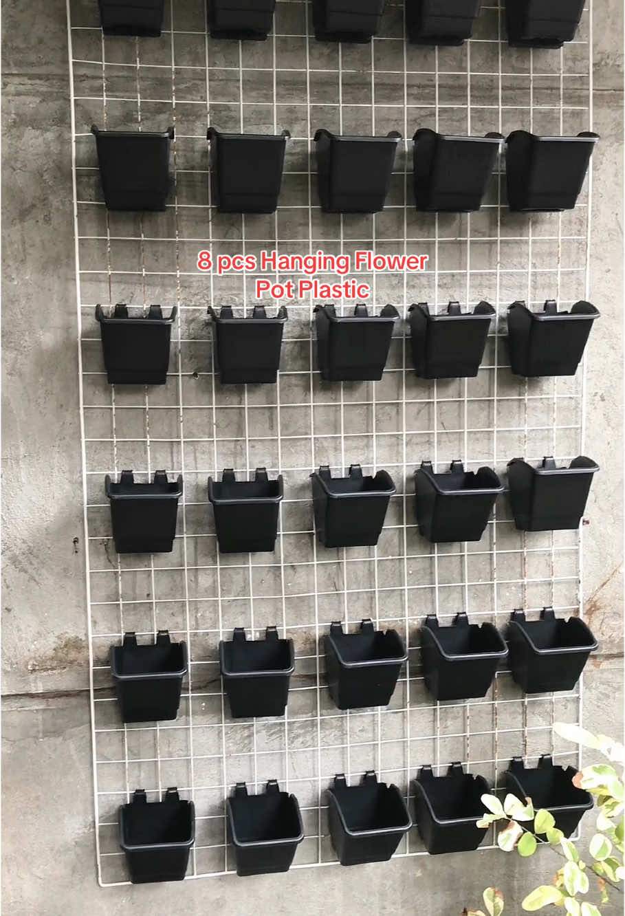 Hanging flower Pot plastic wall na 100 plus pesos lang 8pcs na makukuha mo. Napaka space saver talaga . Kaya click yellow basket para mag order! #pot #flowerpot #hangingpots #plantitas #flowerlovers #spacesaver #fyp #outdooressentials #tiktokshopfuntasticpayday #trend 