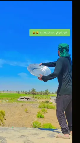 ##الكرمة #العراقي  #الشعب_الصيني_ماله_حل😂😂 