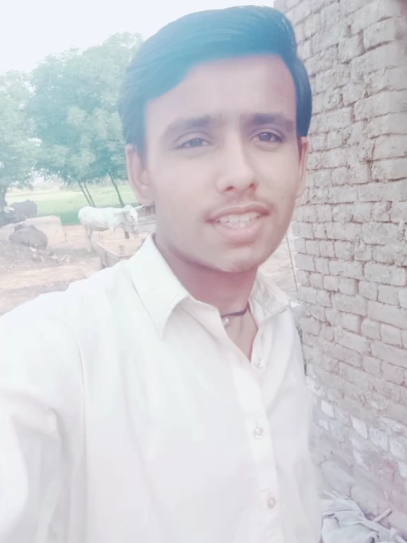 #creatorsearchinsights #lalatanveer @Ghulam SHABIR LUCK 