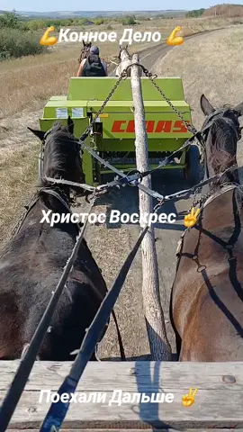 #Сезон #Кони #Вороные #Село #молодость #хочуврекомендации 