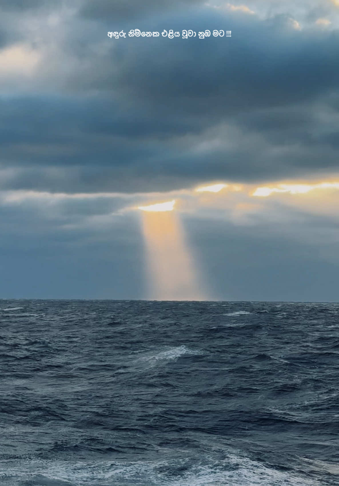 කියාදුන් ප්‍රේමය ! #capcut #tiktok #trending #viral #fyp #mariner_99 #sailor #fypシ゚viral🖤tiktok #tiktoktraditions #merchantnavylife⛵⚓ #travelarroundtheworld🌎 #fypシ゚viral 