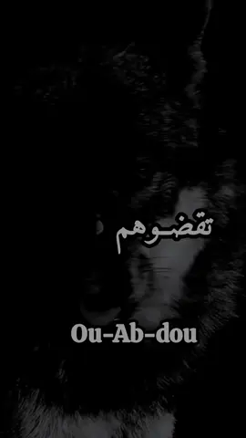 #duo avec @ᏫᏌ_Ꭿ Ᏸ _ᎠᏫᏌ_02 #تصميم_فيديوهات 