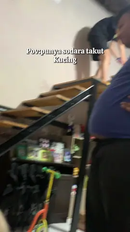 Si yachi terheran heran #cattiktok #cat #cats #funny #funnyvideos #kucing #kucinggemoy #oyen #oyenbarbar 