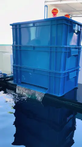 Bộ lọc thùng baki size 50x30x20 cho AE dùng cho hồ lớn đây #locbaki #hồcá #xuhuong 