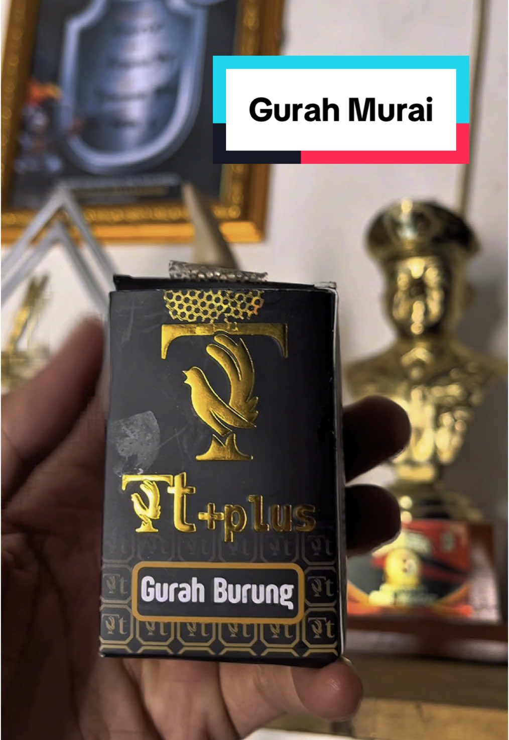 Gurah murai TT plus #gurahmurai #gurahmuraibatu #muraiserak #gurahburung #gurahburungkacer #muraibatumania 