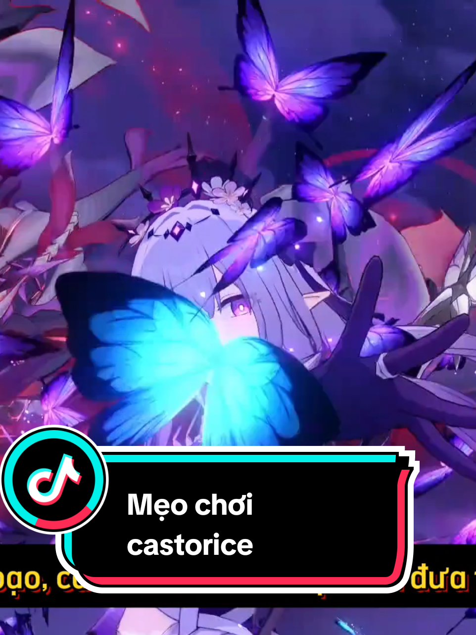 Những mẹo nhỏ giúp chơi Castorice dễ dàng hơn #HonkaiStarRail #hsrmeme #starrail #hoyoverse   #starrailmởthếgiớimới #vùngđấtvĩnhhằngamphoreus #aglaea #tribbie #đạiherta #anaxa #mydei #castorice 