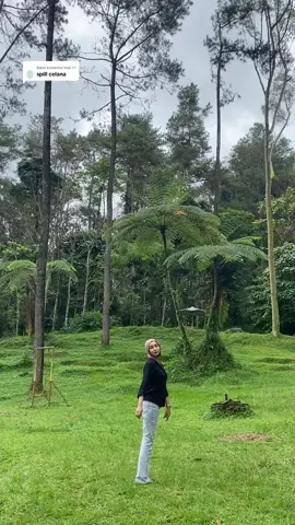 Membalas @maii ୨୧ yang warna greyy