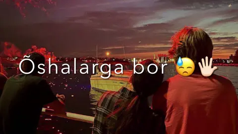 Bez nik 🔥 (Chopurasla bemalol 🪓)#bor #boroshalargabor #boroshalarga