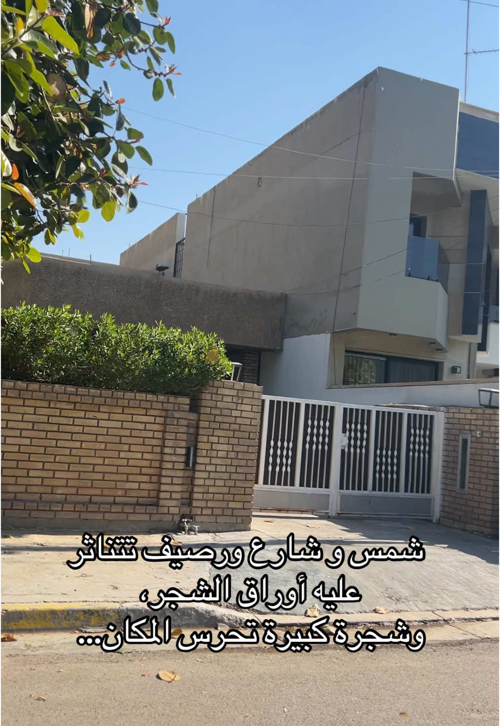 بيت قديم ورصيف مليان ورق شجر… كل شي شكله عادي، بس في قلب أحد، له حكاية🍂 #جيل_الطيبين #بيوت_الطيبين #تصويري #جيل_التسعينات #جيل_الثمانينات #ايام_الزمن_الجميل #حي_الجامعة #ايام_زمان #ذكريات #جيل_الطيبين_العراق #بغداد_بصرة_موصل_الكويت_الخليج_دبي_ #
