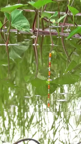 spot liar andalan dan idaman #fishing #mancing #fyp 