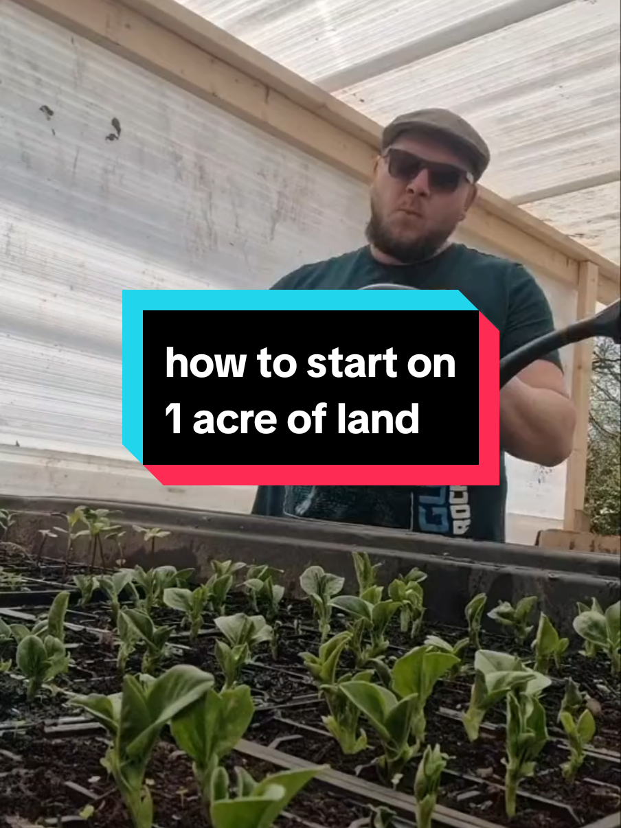 how to start a Homestead on 1 acre of land #offgridliving #offgridlife #farmlife #homestead #vanlife 