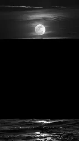 #fyp #fypシ゚ #foryou #لطميات #لطميات_حسينيه #ياحسين_ياشهيد_كربلاء #ياضامي_للمي_وانت_ماي #fypシ゚viral🖤tiktok #foryourpage #foryoupage #foryou#foryoupage #قصايد #تصاميم_فيديوهات🎵🎤🎬 #الامام_الحسين_عليه_السلام 