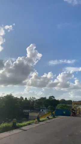 Masih pemulaaa #modipanvario