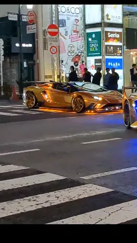 #lamborghini Aventador #sportcar #fypシ゚viral 
