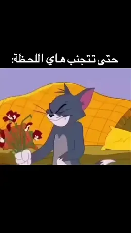 #بوكيه_ورد #متجرتكات #حركة_إكسبلور #ورد . .#وردصناعي #بوكسات_هدايا  #بغداد #العراق #اكسبلور 