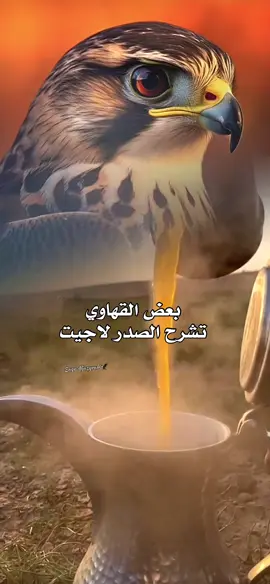 #صقر_الجزيرة_🦅 #اسعد_الله_اوقاتكم #ذوق #مساء_الخير #عز_السعود #بعض_القهاوي #MLBBGetItFree #foryou #MLBB 