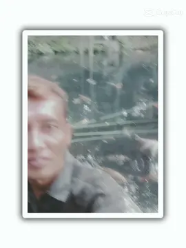 Everything by day #CapCut 