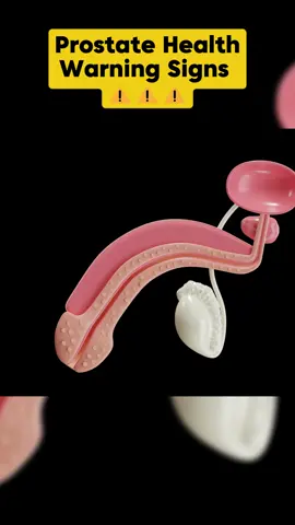 Men Over 50: This is what You Really Need for Your Prostate Health!!! #supplements #health #menover50 