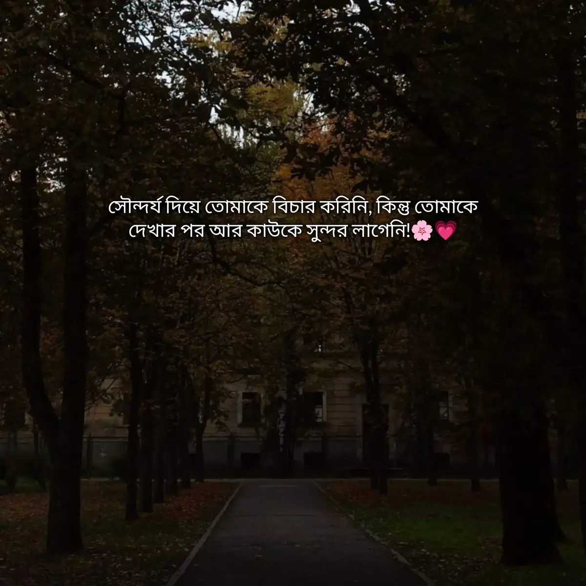 সৌন্দর্য দিয়ে তোমাকে বিচার করিনি, কিন্তু তোমাকে দেখার পর আর কাউকে সুন্দর লাগেনি!🌸💗 @🫰 bright star🫰 #for #support #fyp #ftyp #fouyoupage #foryoupage 