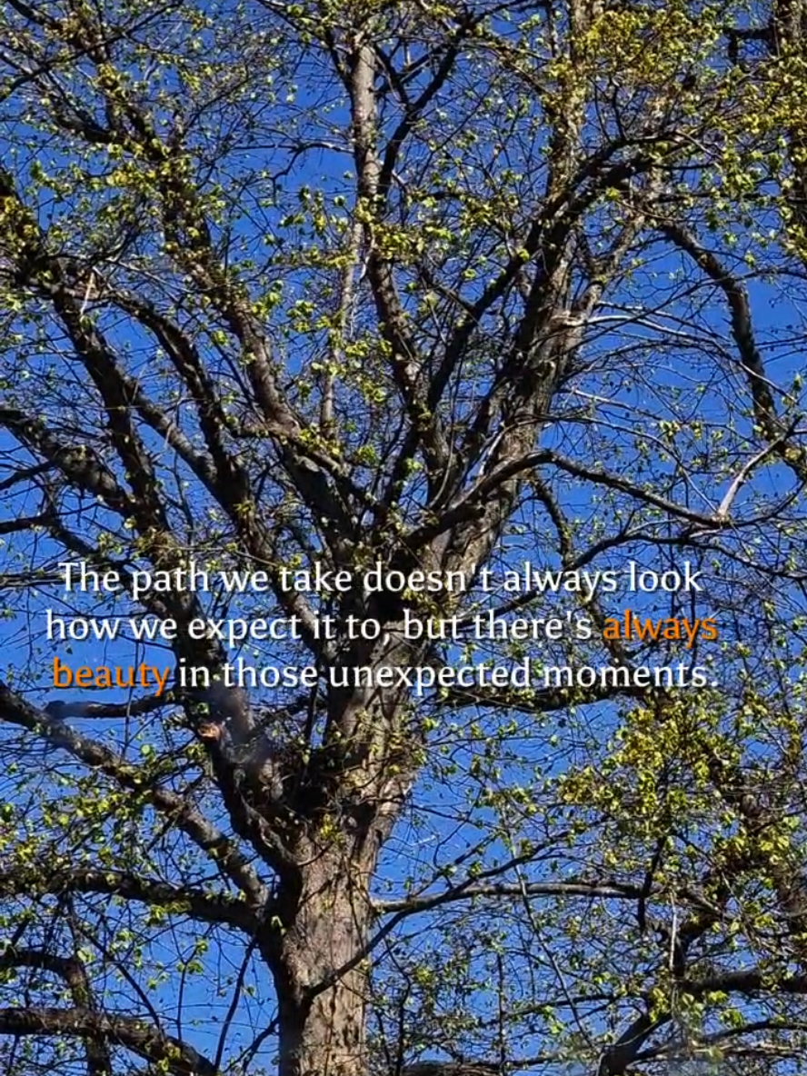 Sunday thoughts 🧡 #CapCut #fy #foru #dailyaffirmations #MentalHealth #SelfCare #selfimprovement #nature #positivevibes #positivity 