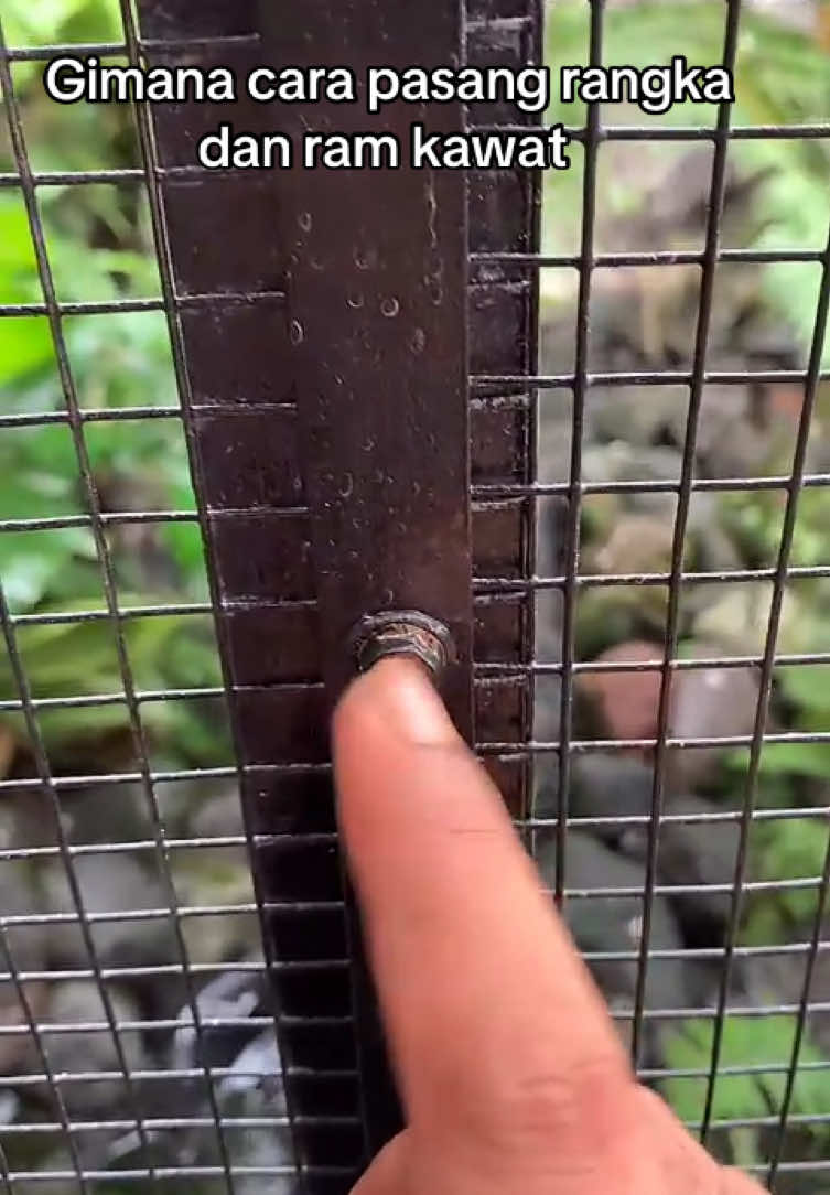 #LIVEhighlights #TikTokLIVE #LIVE #abhinayaaviary #aviary #miniaviary #aviarymini #aviarybirds #aviaryindonesia #kicaumania #kicaumaniaindonesia #kicaumanianusantara #fyp #fypシ゚ #viralfyp 
