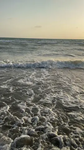 #تصويري #شاطئ #حنيش #fypシ゚ #اكسبلورexplore #لايك__explore___ 