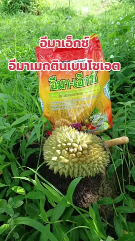 #อีมาเมกตินเบนโซเอต #อีมาเอ็กซ์ยาฆ่าหนอน #อีมาตัวดังในtiktok #อีมาเมกติน #อีมาเอ็กซ์1กิโลกรัม #รีวิว #รีวิวของดีบอกต่อ #เกษตรสาวภูธร 